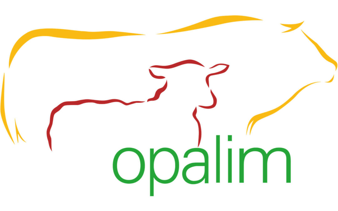Roland Pellenard, Opalim